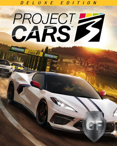 Скачать Project Cars 3 через торрент